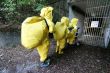 Jubilejný 10. ročník cvičenia Toxic Valley