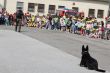 Deň otvorených dverí v trebišovskej posádke vo „Veľkom“