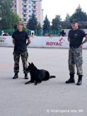 Psovodi predviedli ukážku kynológie na základnej škole vo Zvolene