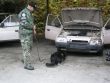 Kurz psovodov a psov na detekciu výbušnín