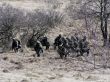 Velenie budúceho slovenského kontingentu ISAF cvičilo prežitie