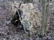Velenie budúceho slovenského kontingentu ISAF cvičilo prežitie
