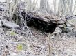 Velenie budúceho slovenského kontingentu ISAF cvičilo prežitie
