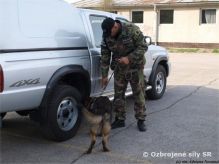 Spoločný výcvik psovodov a psov za účasti príslušníka US army