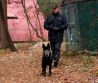 Odcudzenie 2 kusov vojenskej tonej puky SA vz. 58