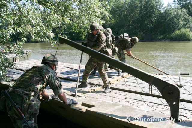 MALÁ LAVÍNA- SMALL AVALANCHE  2011