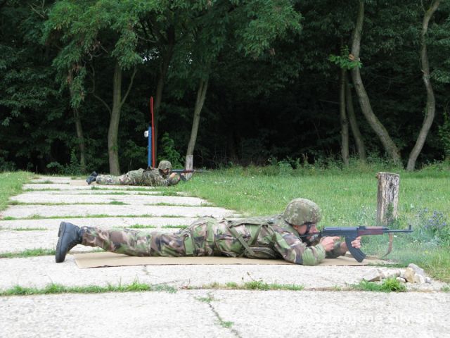 Streľby z ručných zbraní 