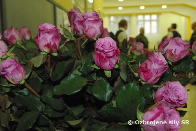 Uctenie si žien pri príležitosti ich medzinárodného sviatku