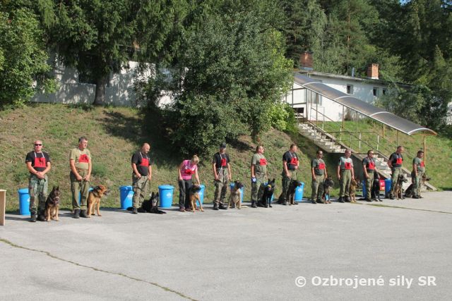 Kynológovia z tk Sliač opäť hájili dobré meno základne