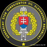 Posledné tohtoročné rokovanie Vojenskej rady NGŠ