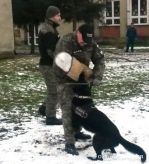 Udržiavací výcvik psovodov a psov OPV VP Prešov