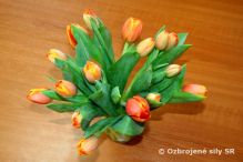 Kvet ako znak úcty a obdivu k ženám