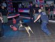 Psovodi troch krajín V-4 cvičili pod Nízkymi Tatrami 3