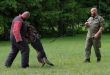 Psovodi troch krajín V-4 cvičili pod Nízkymi Tatrami 8