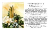 Vianočné stretnutie v Detskom domove Kráľova Lehota
