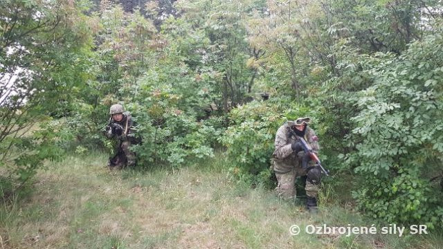 Záverečná fáza prípravy účelového zoskupenia PVO na cvičenie Tobruq Legacy 2018 