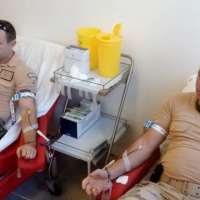 Vianočná kvapka krvi na Cypre