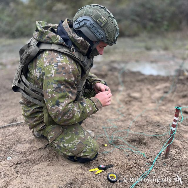 Spoločný odborný výcvik ženijných čiat