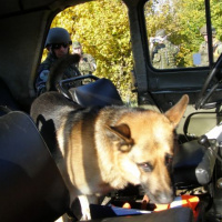 Práporová skupina pokračuje druhý deň v plnení operácie