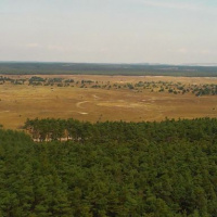 Streľby MiG-29 a L-39 na Záhorí