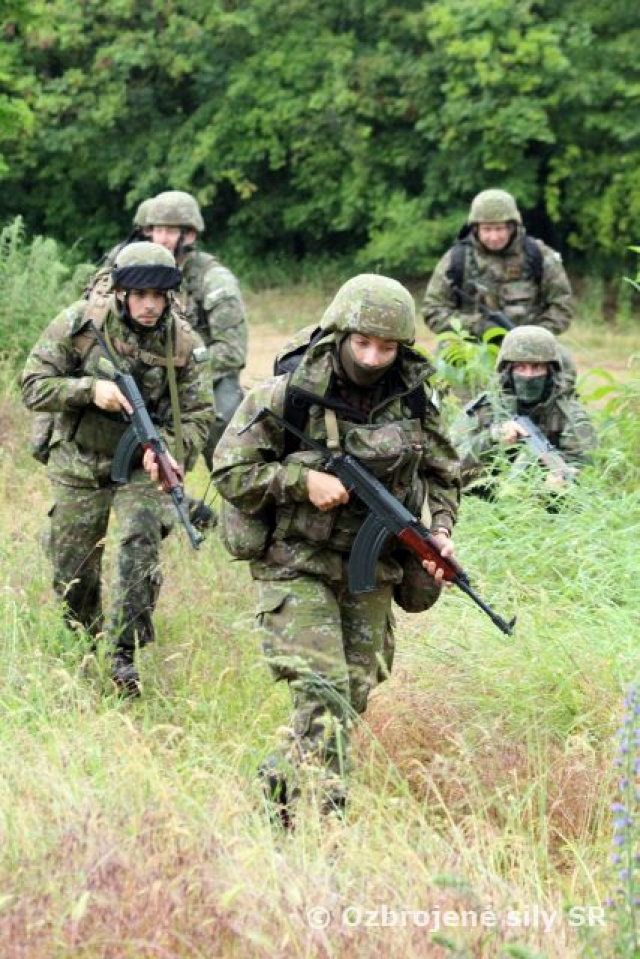 Odborný výcvik profesionálnych vojakov Nitrianskej brigády počas cvičenia ALERTEX 2023