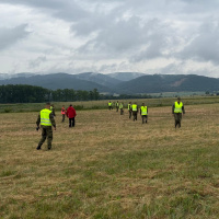 IMG-20260610-WA0045