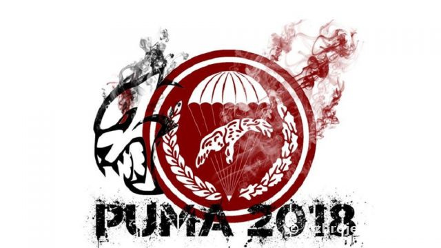 Viac ako 1000 vojakov a 160 rôznych typov vozidiel z krajín V4 sa zúčastnilo cvičenia puma - 18