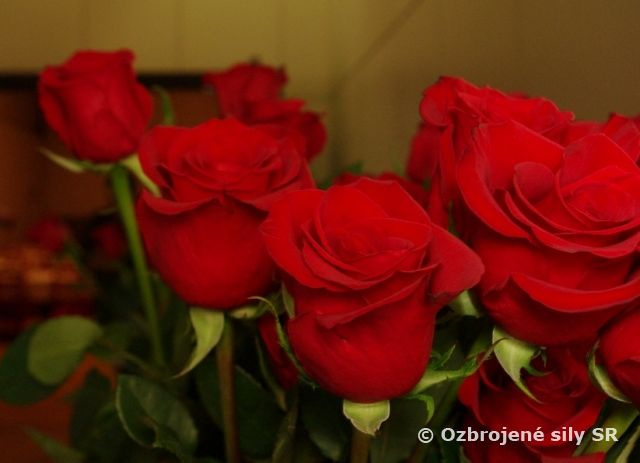 Uctenie si žien útvarov pozemných síl v posádke Trenčín